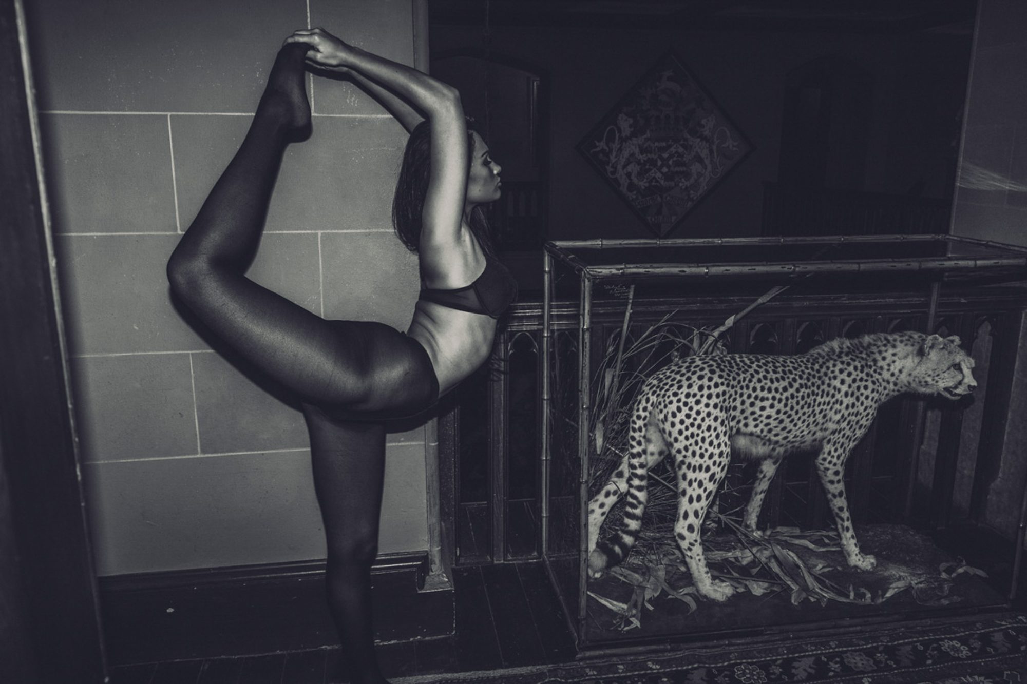 Form — Line and balance — the discipline behind the lifestyle work.